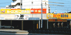 �J�[�R���r�j��y��KYOSEI�V���X